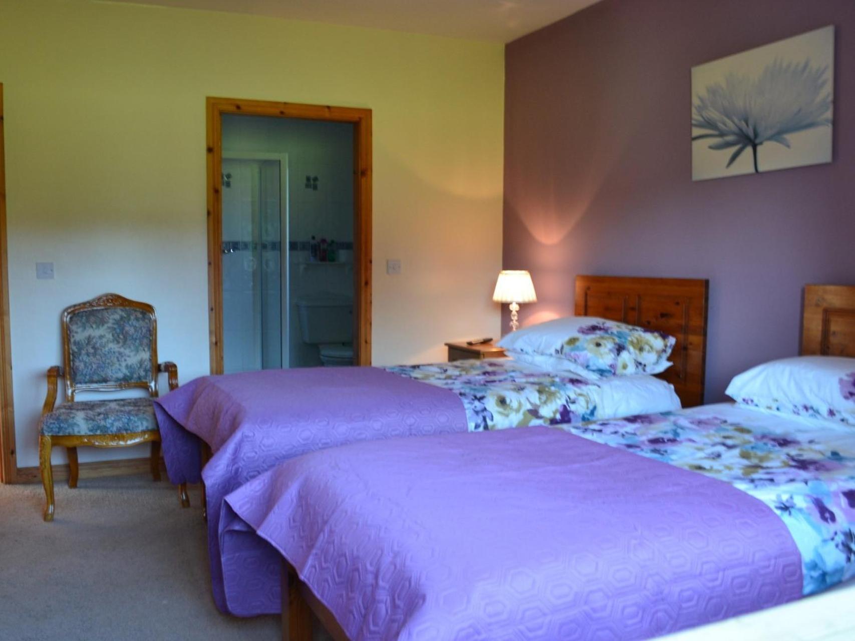 Manorview B&B Cookstown Room photo